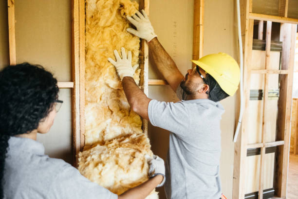 Best Insulation for New Construction  in Rehobeth, AL